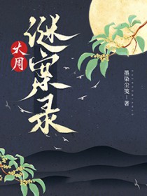 大周谜案录