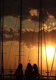 ϫ������