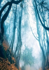 ����֮��